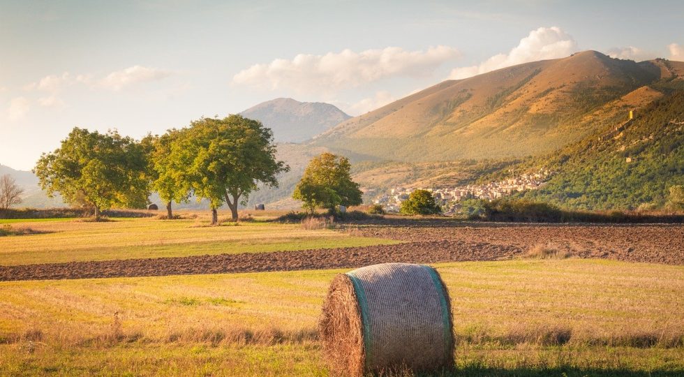 RIPARTIRE DALLA TERRA DOPO LA PANDEMIA, LA SCOMMESSA DEL CONSORZIO AQUILANO