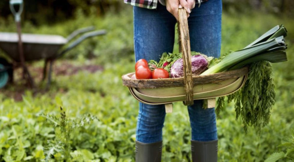 RECARSI ALL’ORTO FUORI PROVINCIA, SINDACO PRATA D’ANSIDONIA ATTACCA REGIONE: “SDOGANATO SPOSTAMENTO VERSO SECONDE CASE”