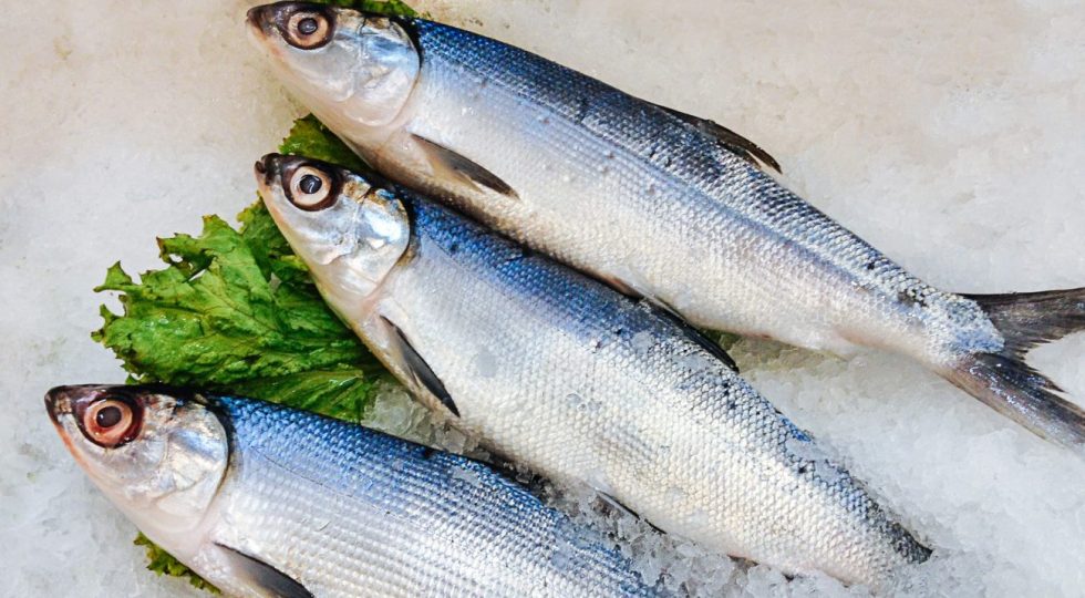 VENERDÌ SANTO CON PESCE FRESCO PER SOSTENERE MERCATO LOCALE