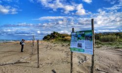 COMPLETATA LA SPIAGGIA DEL FRATINO E DELLE DUNE DEL BORSACCHIO NELLA RISERVA DI ROSETO