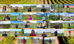 “LA VITE NON SI ARRENDE”, VIDEO-APPELLO DEL CONSORZIO COLLINE TERAMANE DOCG