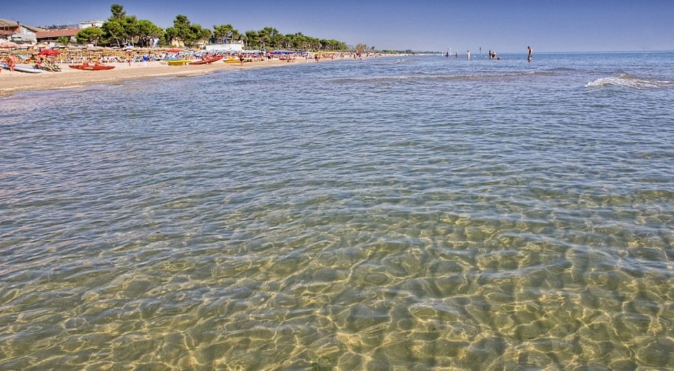 AL MARE DI PINETO LA BANDIERA VERDE DEI PEDIATRI