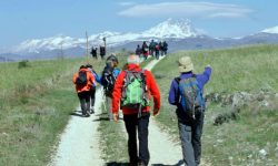 IL TOURING CLUB DEDICA UNA SEZIONE AL REGIO TRATTURO TRA NAVELLI E COLLEPIETRO