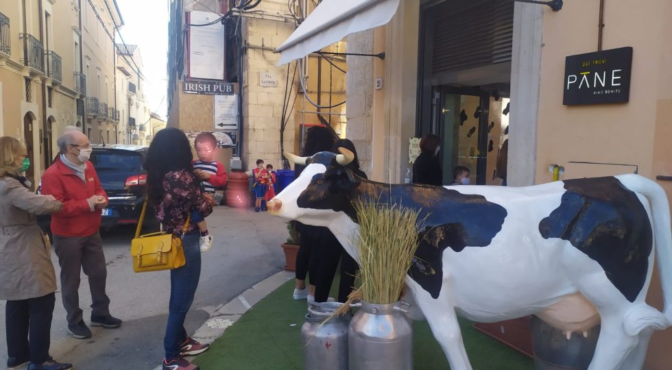 L’AQUILA, TUTTI IN CODA DA CAROLINA E GINA PER IL MILK DAY