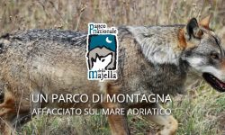 ALLA SCOPERTA DEL PARCO DELLA MAJELLA CON IL NUOVO SITO INTERNET