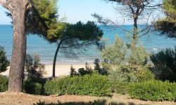 RIAPRONO LE SPIAGGE LIBERE DI PINETO