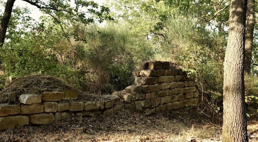 IL TEMPIO ITALICO DI COLLE SAN GIORGIO, UNA RICCHEZZA DA VALORIZZARE A CASTIGLIONE MESSER RAIMONDO