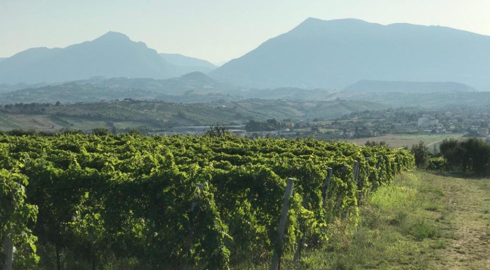 A TORANO NUOVO UNA MEGA ANTENNA RISCHIA DI SFREGIARE LE COLLINE TERAMANE DOCG