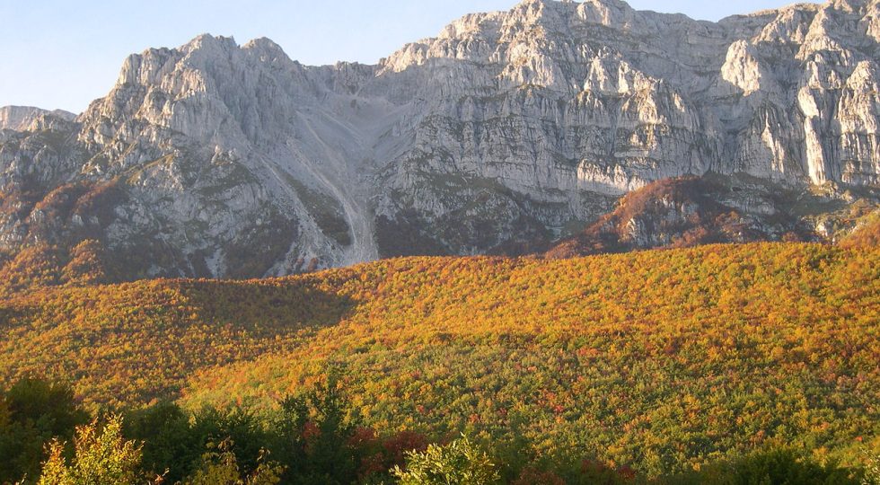 CON LA RIPERIMETRAZIONE DEL PARCO A RISCHIO LE FORESTE DEL SIRENTE, ALLARME DEGLI ECOLOGISTI
