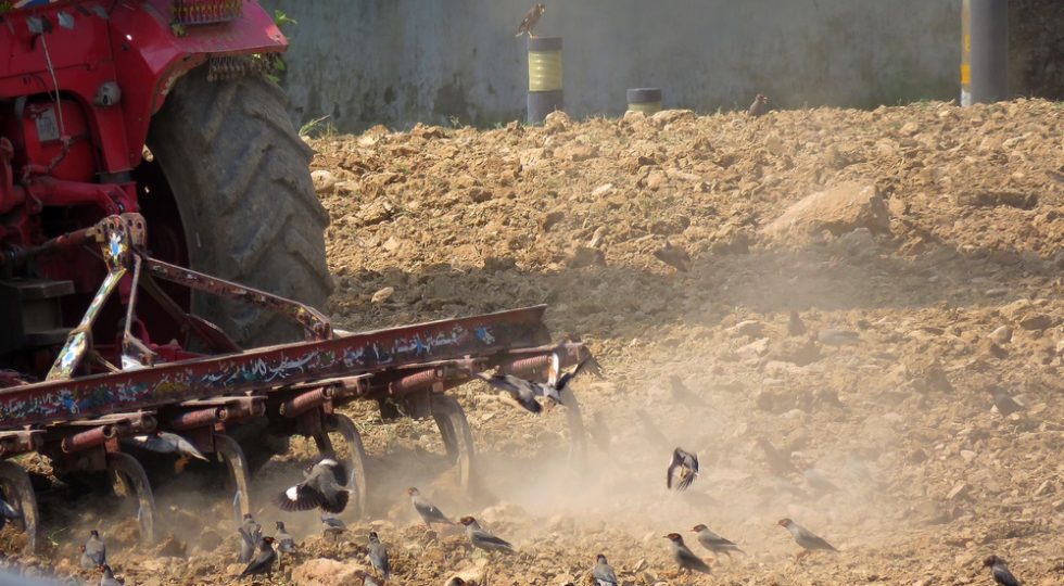 IN COMMISSIONE TERRITORIO SÌ AL NUOVO STATUTO DEI CONSORZI DI BONIFICA