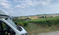 COL CAMPER UNA NOTTE TRA LE VIGNE IN VENDEMMIA, L’INVITO DELLE DONNE DEL VINO
