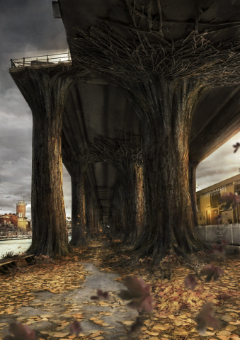 alberi asse copia