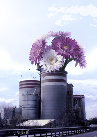 fiori