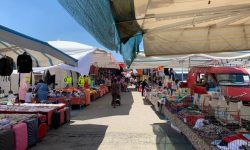 TORNA IN CENTRO IL MERCATO SETTIMANALE DI PINETO