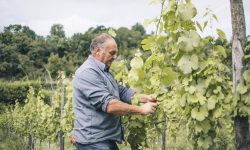 A PESCARA UNA DEGUSTAZIONE DI VINI NATURALI METTE A CONFRONTO ENOZ E SANTOLERI