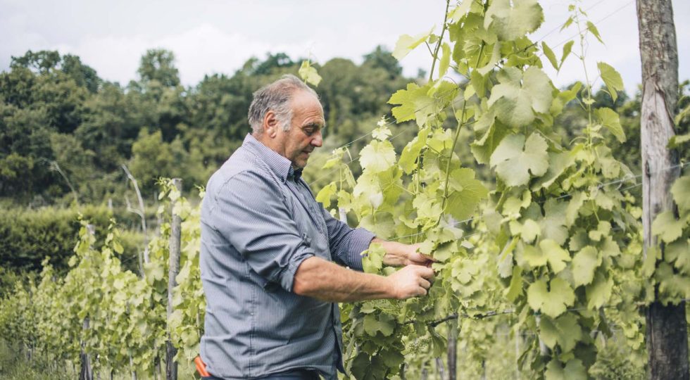 A PESCARA UNA DEGUSTAZIONE DI VINI NATURALI METTE A CONFRONTO ENOZ E SANTOLERI