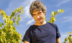 COLLINE TERAMANE, APPELLO A SOSTENERE L’ENOGASTRONOMIA DEL TERRITORIO