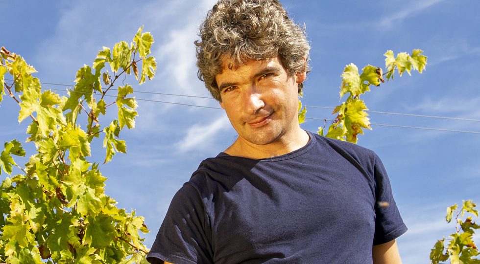 COLLINE TERAMANE, APPELLO A SOSTENERE L’ENOGASTRONOMIA DEL TERRITORIO