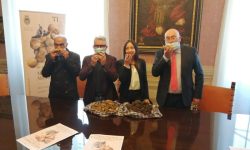 A PIETRALUNGA LA MOSTRA DEL TARTUFO E DELLA PATATA BIANCA