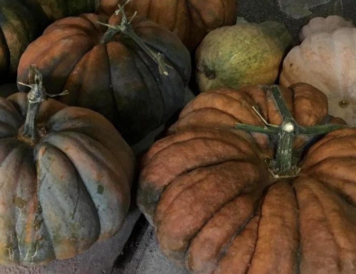 ZUCCHE, CANDELE E ANTICHI RITI: ALTRO CHE HALLOWEEN, LE TRADIZIONI DI OGNISSANTI IN ABRUZZO HANNO RADICI ANTICHE