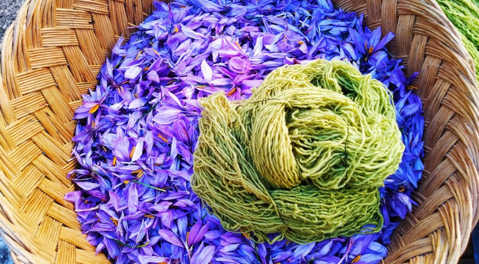 DAGLI SCARTI DELLO ZAFFERANO LA LANA DEL GRAN SASSO SI TINGE DI ORO ROSSO