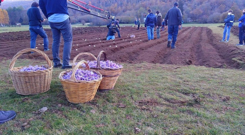 L’ABRUZZO E LO ZAFFERANO NEL NUOVO FILM DI FANDANGO CON KASIA SMUTNIAK