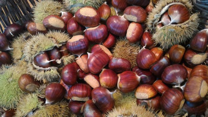 ARRIVA LA SAGRA DELL’ASPORTO, A CASTIGLIONE MESSER RAIMONDO RISTORANTI CUCINANO PIATTI CON LE CASTAGNE