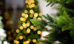 A Marina di Città Sant’Angelo fine settimana coi mercatini di Natale