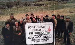 7 APRILE 1971, NASCE LA COOP ALTOPIANO DI NAVELLI: CINQUANT’ANNI DI VALORIZZAZIONE DELL’ORO ROSSO