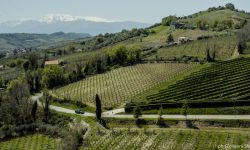 VINI D’ABRUZZO, UN INCOMING PER FAR CONOSCERE LA VILLAMAGNA DOC