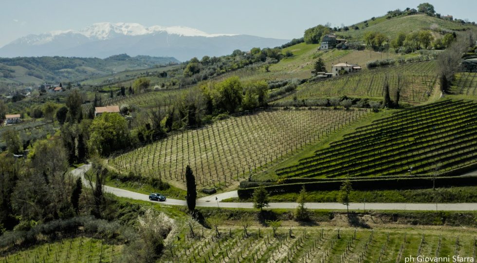 VINI D’ABRUZZO, UN INCOMING PER FAR CONOSCERE LA VILLAMAGNA DOC