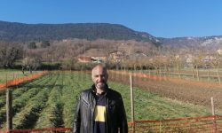 PODERE FONTE AUGELLI, LA COLTIVAZIONE DI ZAFFERANO DOP DELL’AQUILA CHE SPERIMENTA AGRICOLTURA BIO