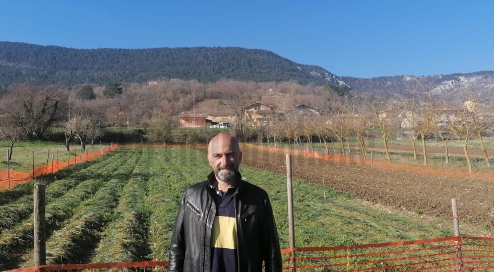 PODERE FONTE AUGELLI, LA COLTIVAZIONE DI ZAFFERANO DOP DELL’AQUILA CHE SPERIMENTA AGRICOLTURA BIO