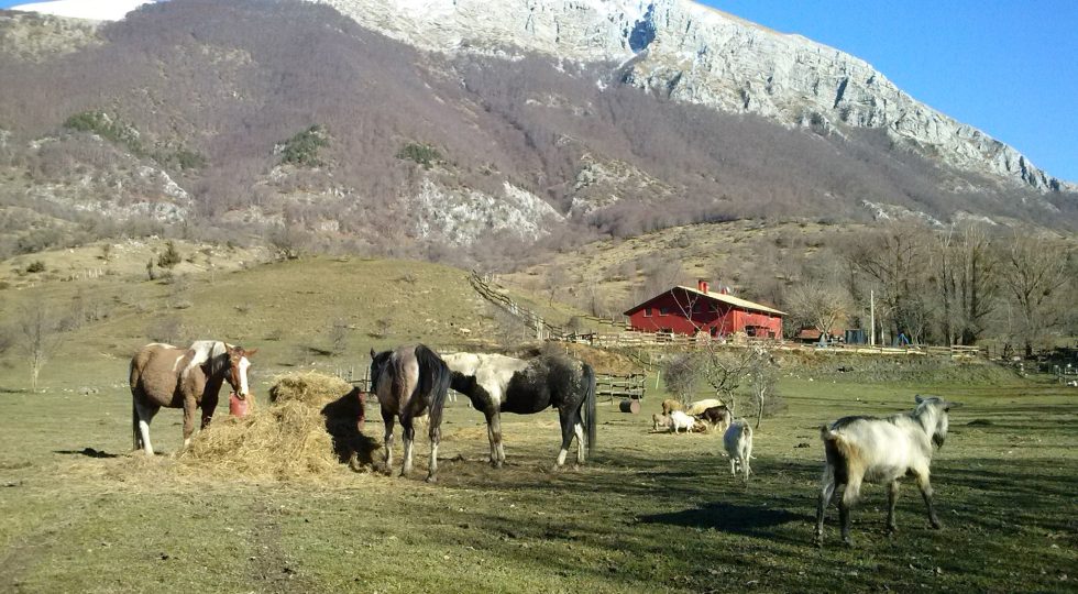 Recensioni negative, in Abruzzo agriturismo non accetta più famiglie con bambini