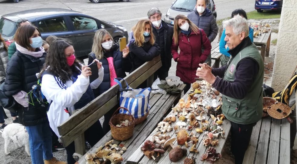 BRUNO DE RUVO, L’ESPERTO CONOSCITORE DELLE TANTE VARIETÀ DEI FUNGHI ABRUZZESI