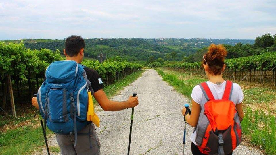 “VINI E CAMMINI”, PARTE A GIUGNO LA TERZA EDIZIONE DELLE PASSEGGIATE TRA NATURA ED ENOLOGIA