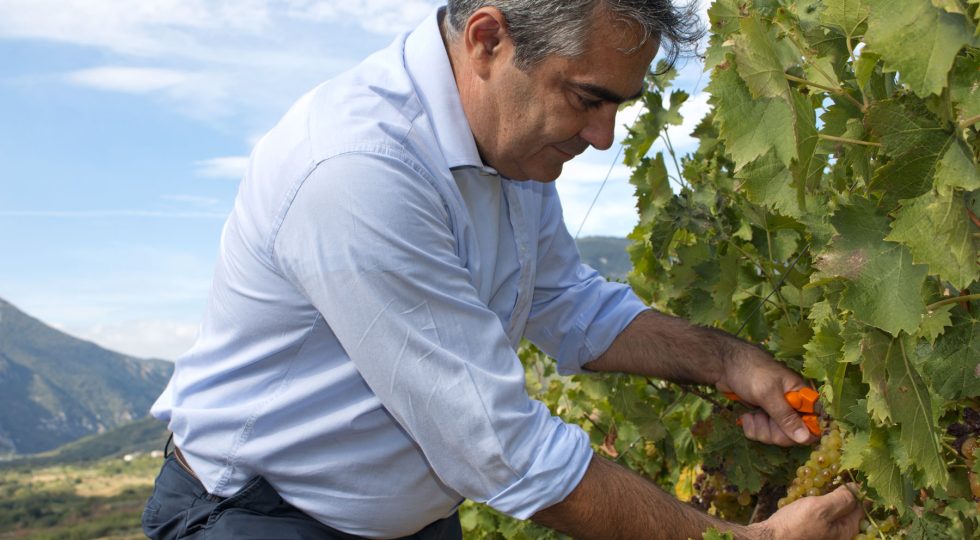 OSCAR DEL VINO 2021 AL MOSCATELLO PASSITO DI TENUTA SECOLO IX