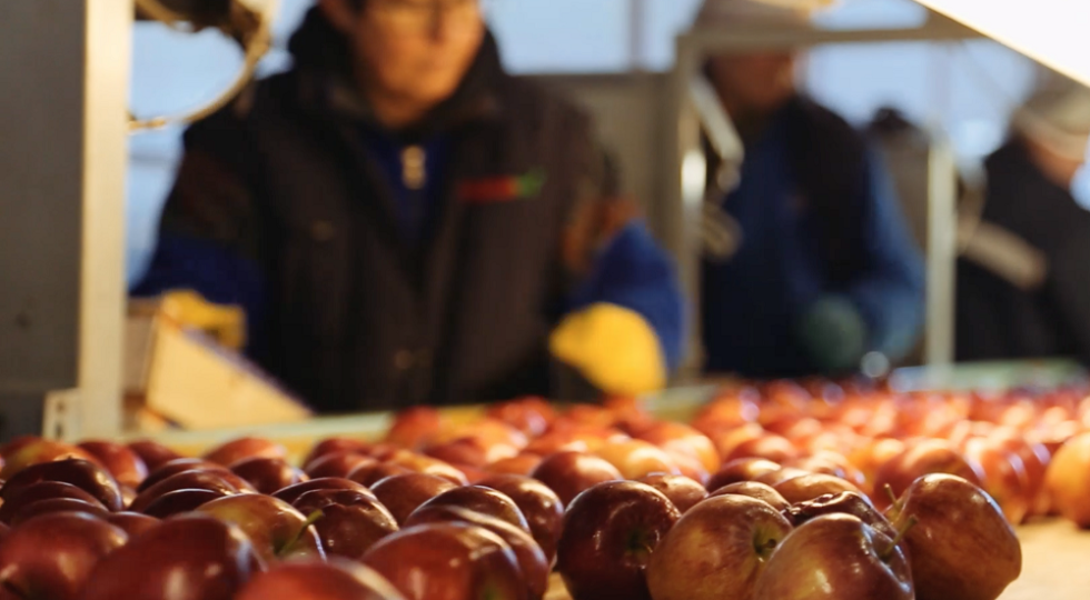Prodotti alimentari: le aziende puntano sull’esternalizzazione dello stoccaggio