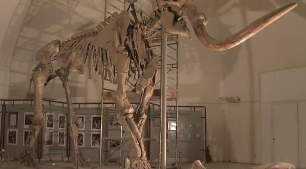 L’AQUILA, IL MAMMUT TORNA VISITABILE: COME PRENOTARSI ALLE VISITE