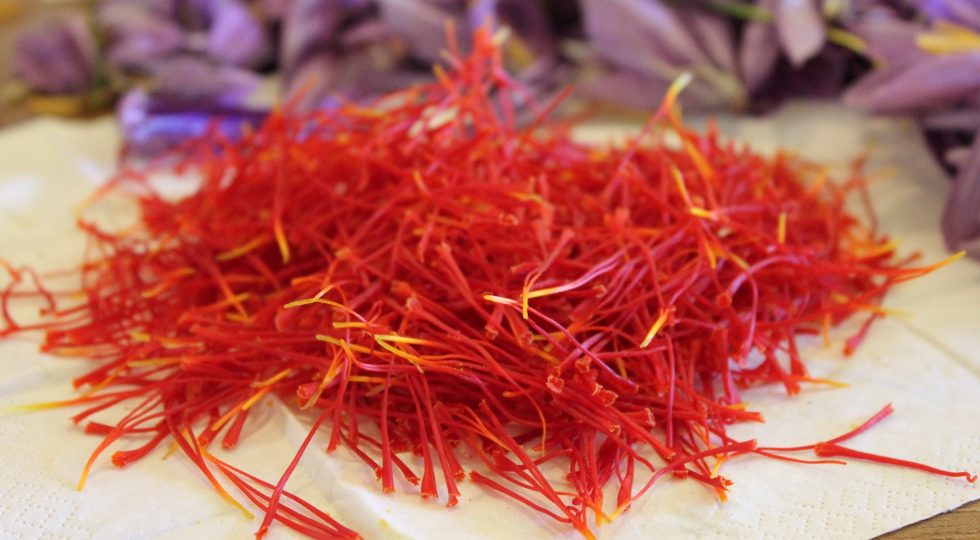 “RACCOGLI, CONOSCI E DEGUSTA”, PIATTI E SHOW COOKING PER SCOPRIRE LO ZAFFERANO
