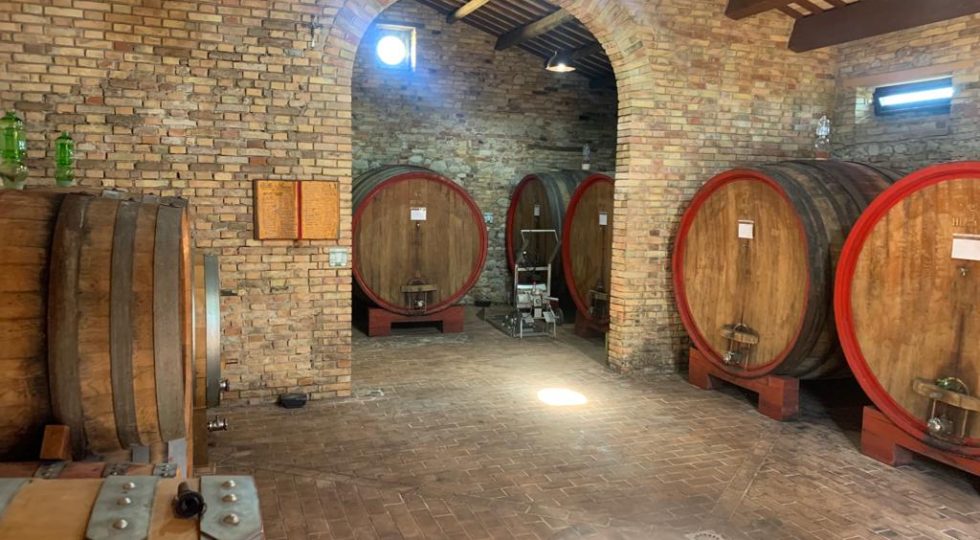 FATTORIA GIUSEPPE SAVINI, I VINI DEL TERAMANO CON IL FUTURO ROSA