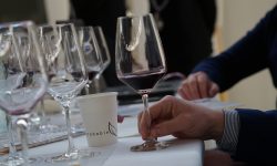 anteprima colline teramane