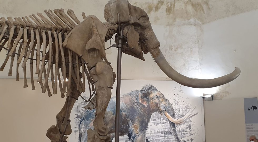 SOLD OUT IL MAMMUT ALL’AQUILA, DISPONIBILITÀ IN ESAURIMENTO ANCHE AD APRILE E MAGGIO