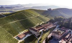 Vigneti di nebbiolo a nord? Per Fontanafredda “no, almeno per il momento”