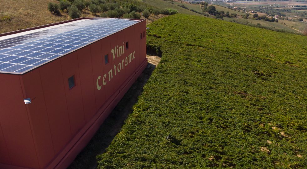 CENTORAME: “I MIEI VINI PULITI, CORRETTI E TRADIZIONALI”