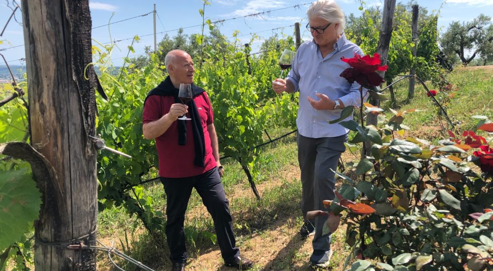 DI SIPIO WINE, UN RITORNO ALLE ORIGINI CHE GUARDA AL FUTURO