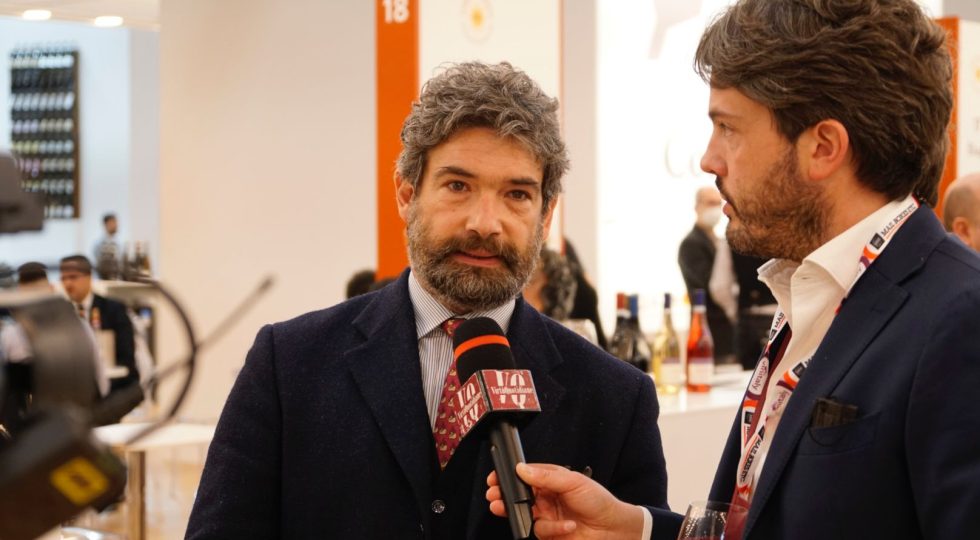 CONSORZIO VINI, SI ANIMA IL DIBATTITO: COLLINE TERAMANE E CUSTODES LAURETI SPINGONO PER I PRIVATI