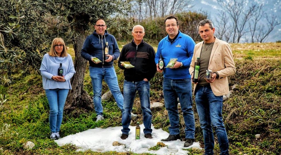 Ercole Olivario, le olive intosso in salamoia dell’Olivicola Casolana sono le migliori
