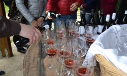 VINO NATURALE: A PETTORANO SUL GIZIO “DUMAS”, DUE GIORNI TRA DEGUSTAZIONI E DIBATTITI