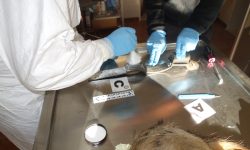 BIODIVERSITÀ, SULLA MAIELLA ARRIVANO GLI INVESTIGATORI PER LA TUTELA DEI LUPI